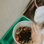Beginner Tips for Composting at Home: A Simple Guide to Start